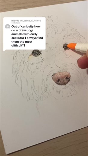 How to Draw Fur Texture Easy