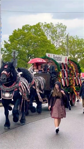 🎉 Regensburger Maidult 🎡📍 Regensburg, Germany📅 Thursday, May 14 – Sunday, May 31, 2026