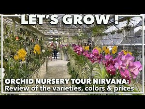 FLORIDA ORCHID NURSERY TOUR: Review of the varieties, colors and pricing