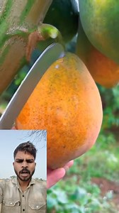 Five New fact on Reels