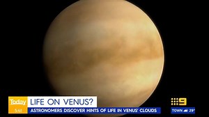 8.8K views · 78 reactions | Astronomers have discovered signs of life on our cosmic neighbour, Venus.  #9News | Nightly at 6.00pm | 9 News Sydney | Facebook