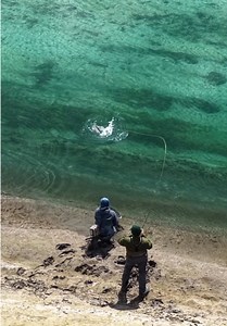 Sight fishing at it’s best #trout #troutfishing #flyfishing | trout fish