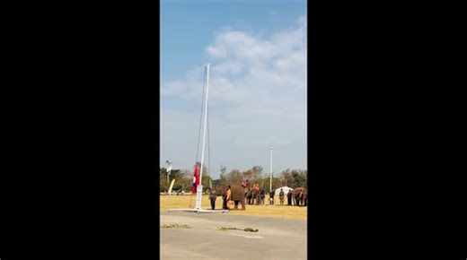 Elephant performs flag-raising ceremony at festival in Laos