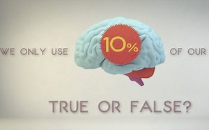 【TED科普】你的大脑被开发了多少？（中英字幕）