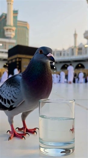 #16 Please Subscribe This Chanel #allah #foryou #trending #viralvideo #islam #quran #pakistan #india