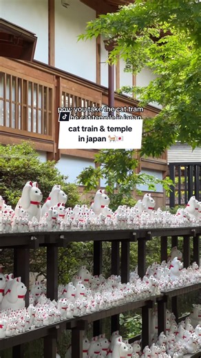 Cat Tram to Gotokuji Temple in Tokyo, Japan
