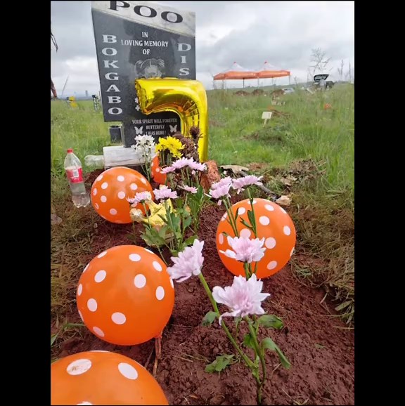 Irvin Ndlovu on TikTok