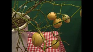 Jak pěstovat pepino gold