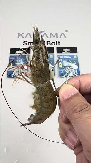 Kanama Luminous Live Shrimp Hooks. #kanama #liveshrimphooks #fishing