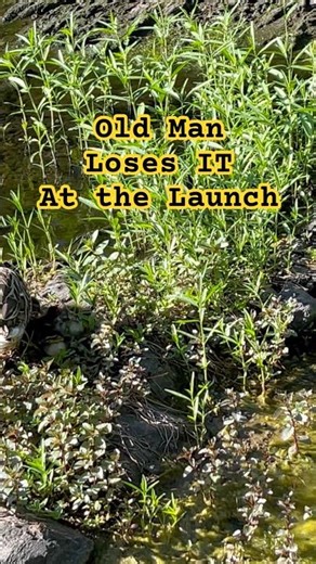 Old Man @ Boat Launch. #funny #mallardducks #boatlaunch #birds #nature #kayak