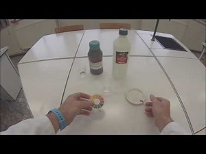 Réaction acide chlorhydrique, fer.