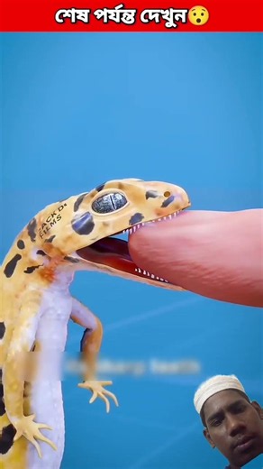 How A Lizard_s Bite Locks On 😱।।#shorts​#facts​