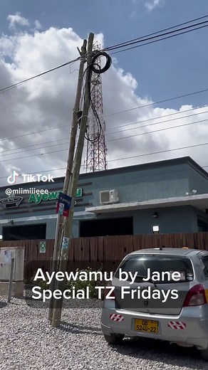 Exploring Traditional Ghanaian Food at Ayewamu by Jane
