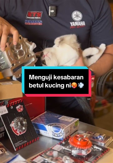 Jadi customer kita dari jauh nak hantar moto tapi takde masa yang sesuai korang dah tak perlu risau geng🤩💥 Lepasni korang just contact je kita spec apa yang korang nak nanti kita akan pos kat korang ya gais siap sekali cr (Compression Ratio)✅‼️#hvmautoparts #hvmautopartsjerteh #hvmracingproject #hvmdynocentre #hvmproject