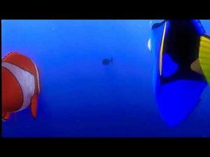 procurando Nemo pt 22