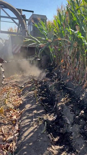 12K views · 55 reactions | TRACTOR PULLS OUT THE SWORD BURIED IN THE FIELD #bigtractorpower #johndeere #tracteur #agriculture #agro #tractor #farmequipment #farming | lesio | Facebook