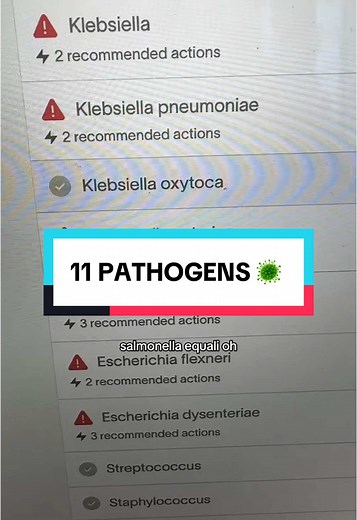 Shaz | Gut Health Coach on TikTok