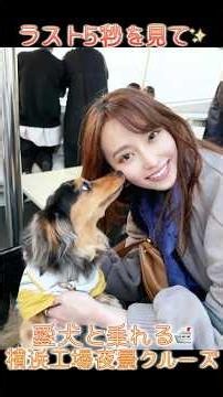 【感動のラスト✨】偶然見つけた横浜クルーズが、最高の思い出になった夜 #愛犬とお出かけ #横浜 #工場夜景 #