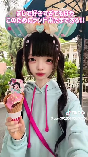 ヴァネパルVlog：牛カルビコーンがやみつきに？ディズニー2回目の大充実