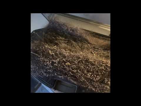 Follow up on Shark Ion Robot vacuum, the magnetic strip and the cleaning out process