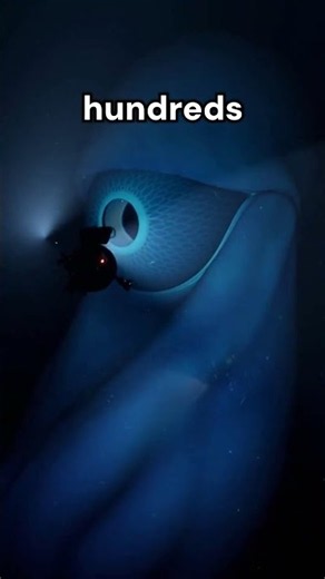 The Abyssal Leviathan #viral #nature #creatures