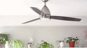 Simple Modern Ceiling Fan Rotating Houseplants Stock Footage Video (100% Royalty-free) 3826747579 | Shutterstock