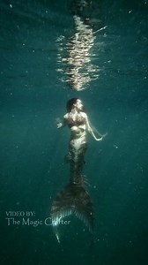 A dark mermaid in the water 🖤 This is a video of Mermaid Krimzon haunting the water of Lake Michigan. She was originally meant to be basically a mermaid equivalent of a devil. However, I've toned her down a lot to make her a wild mermaid with some rather untamed behaviors. Though in the eyes of sailors, she's probably still a bit of a demon - even with her refreshed storyline. 😅🖤 Anyway, I still like to edit her into some spooky videos. As a Gothic mermaid performer, every day has the ability