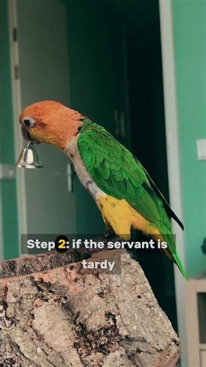 Step-by-step tutorial on how to manage your servants. 🔔👑