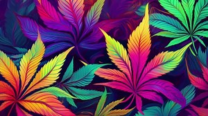 Download Colorful trippy psychedelic cannabis background animation. Gently rippling marijuana leaves in vibrant neon colors. Suitable for cannabis culture, wellness, or alternative lifestyles projects. for free