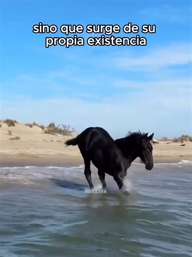 Nueva Conciencia on Reels