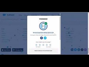 Service Cloud Voice Setup: Quick Look | Salesforce