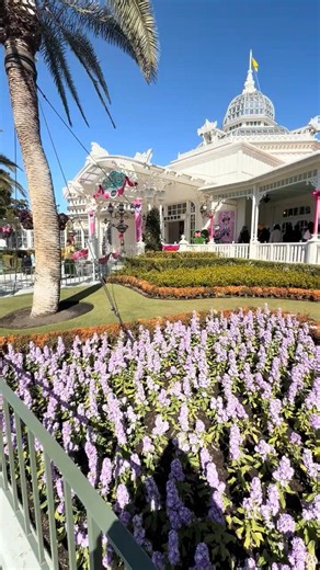 Beautiful 😍 Disneyland #beautiful #disneyland