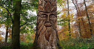 Largest Sculpture Path in the Woods for everybody