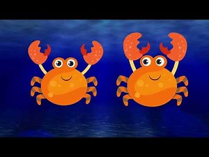 Crab Animation |Fishes|