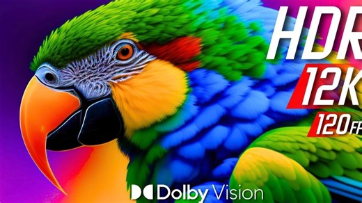 终极杜比视界 12K HDR 120fps | 12K 超高清视频