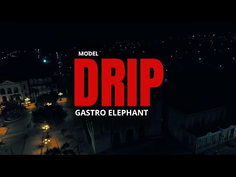 MODEL DRIP - GASTRO ELEPHANT (OFFICIAL VIDEO)