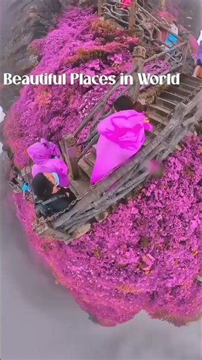 Beautiful places on earth❤️🌎 #travel #shorts #youtubeshorts