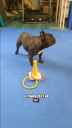 I’m Not Trying to Do Tricks For Treats! RxCKSTxR Comedy Voiceover!