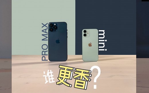 iPhone 12 pro max对比iPhone 12 mini | 开箱 | 上手体验 | 拍照对比 | 12 pro max的镜头到底多厉害？