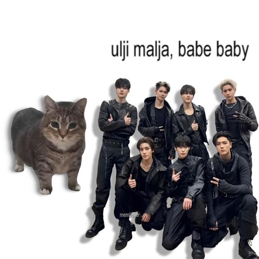 ENHYPEN - BIG GIRLS DON'T CRY, but it's Oiiai Cat Remix (uiiai) #mashup #oiiacat #enhypen