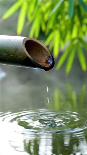 Nature Sounds for Deep Relaxation 🌿 | Calming Forest, Water & Wind Ambience #Relaxation #Relaxing