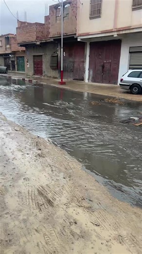 Vidéos de dingo (@dingodingo05) avec som original - Luciano Matiello®