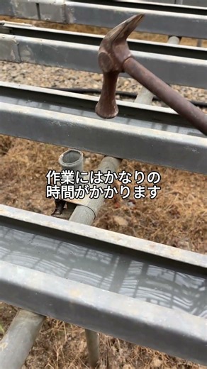 Ｃ鋼の水平を取ります #シクラメン #シクラメンの育て方 #増田園芸