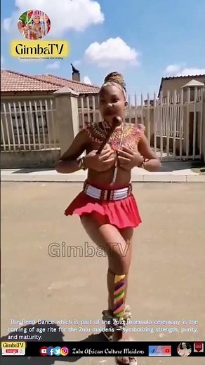 Zulu Girl traditional african dance - 🇿🇦 #zuludance #zulutribe #umemulo #africa #zulumaidens
