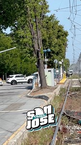 10:24 am the bomb squad is out to diffuse a suspicious package on 1st St and Karina Ct. We have exclusive video footage for our subscribers | San Jose Nights Media