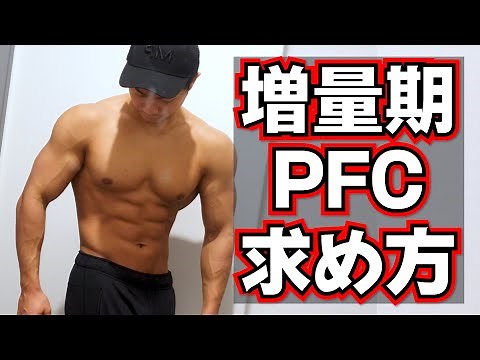 増量期のPFCバランスの求め方【マクロ計算】