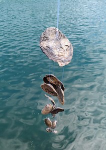 Seashell Windchime - Etsy