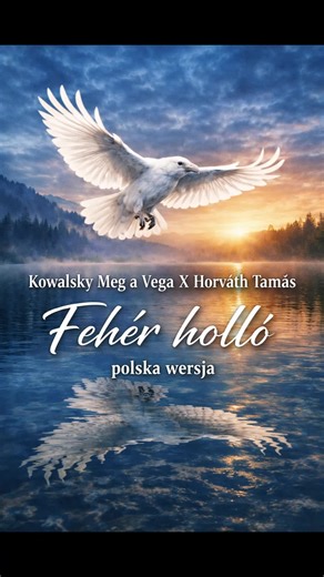 Będąc na wyjeździe na Węgrzech przypadkowo w radiu usłyszałem tą piosenkę w języku węgierskim i tak mi się spodobała, że postanowiłem zrobić polską wersję tej piosenki. Według mnie wyszło fajnie, a czy reszcie się spodoba zobaczymy. Premierka będzie za kilka dni Kowalsky Meg a Vega X Horváth Tamás - Fehér holló polska wersja