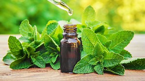 Aceite de menta, una refrescarte solución en días de calor - UnoTV
