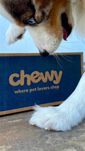 Collin Morgan on Instagram: "Comment PETS and we’ll send you all the info + deal scenarios! 🐾🔥 Hurry to Chewy for this HOT pet deal you don’t want to miss! Stack gift card promos with sale prices and Autoship discounts to score some seriously wild savings! 😱💸 Perfect time to stock up on food, treats, toys & holiday gifts for your fur babies! 🐶🐱🎄"